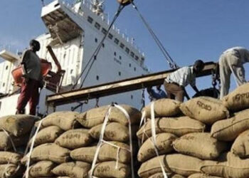 Importations : avec des achats annuels d’environ 198 milliards, l’Italie est le 1er client du Cameroun au sein du G7