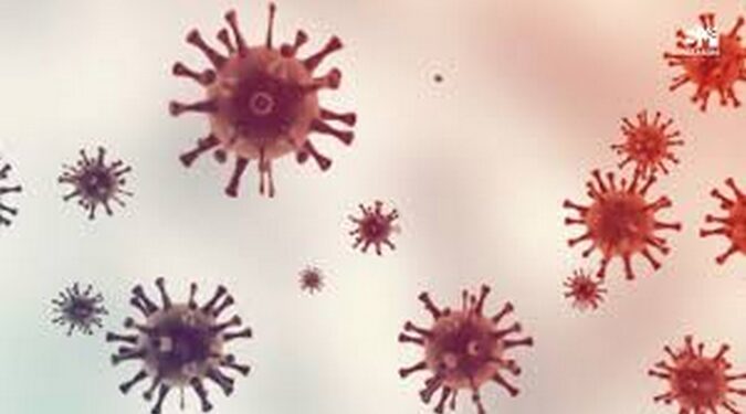 Mpox : deux décès enregistrés au Cameroun, le gouvernement renforce les mesures de prévention